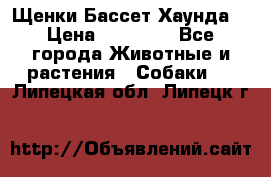 Щенки Бассет Хаунда  › Цена ­ 25 000 - Все города Животные и растения » Собаки   . Липецкая обл.,Липецк г.